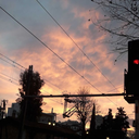 fattyflower01 avatar