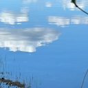 fatya-morgana avatar