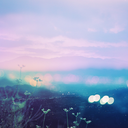 faunosprinceps avatar