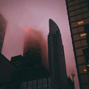 fauxlyfeslife avatar