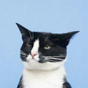 favficarchives avatar