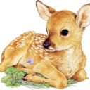 fawn-princess avatar