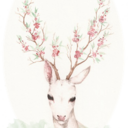 fawnthefeminist avatar