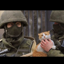 fckingworldproblem avatar