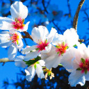 fckn-wishlist avatar