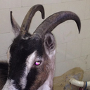 fckngwitch666 avatar