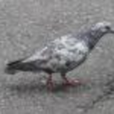 fdrbdr-blog-blog avatar