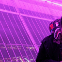 fear-everything-always avatar