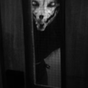 fear-is-an-enigma avatar