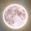 fearless-day-dreams avatar