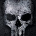 fearless-life-explorer avatar