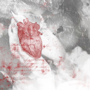 fearnesnblerns avatar