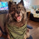 feastfrolicfuck avatar