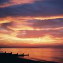 featherboa5469 avatar