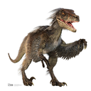 feathered-dinosaurs-dammit-blog avatar