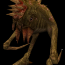 feathered-secret avatar