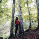 featherinthemeadow avatar