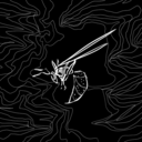 featherlight-bones avatar