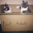 feathermoon2002 avatar