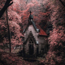 featherontheground avatar