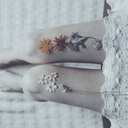 feathersandtwigs-blog avatar