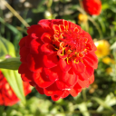 feathersinthedarksky avatar