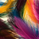 feathertramp-blog avatar