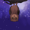 feathery-thing avatar