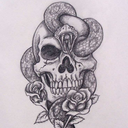 fede-is-a-panda avatar