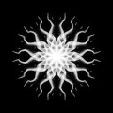 fedebianchiart avatar