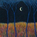 fedefedeworld avatar