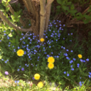 fedepuntoebasta avatar