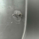 federica-barbieri avatar