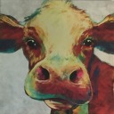 feeble-fey-bull avatar