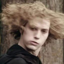 feed-the-roses avatar