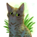 feeder-of-rodents avatar