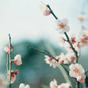 feedmelsdandthc avatar