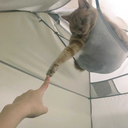 feedmeyourart avatar