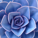 feeelingalright avatar