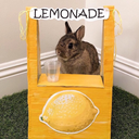 feel-the-noiz avatar