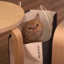 feeling-like-im-falling-apart avatar