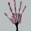 feeling-not-found-blog1 avatar