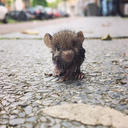 feelingbetteragain avatar