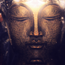 feelingbuddhaful avatar