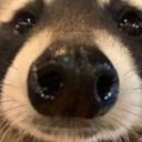 feelingg-blue avatar