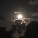 feelingsrocknroll avatar