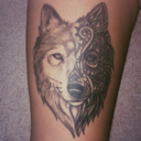 feelingstabby avatar