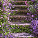 feelingsuicidal21 avatar