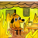 feelsa-nd-eels avatar