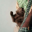 feelslessfoodmore avatar